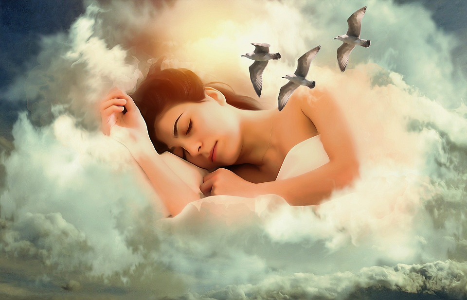 Le sommeil